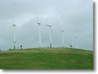 environment windfarm
